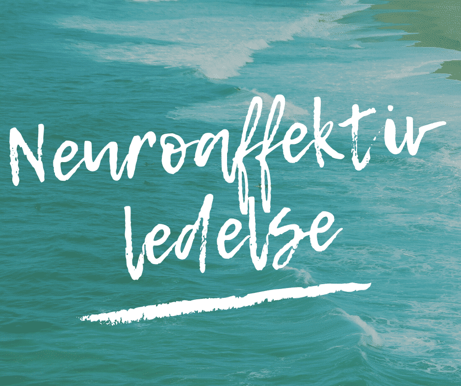 Mette tog på Neuroaffektiv Lederuddannelse: “Alle ledere burde have den som obligatorisk uddannelse”